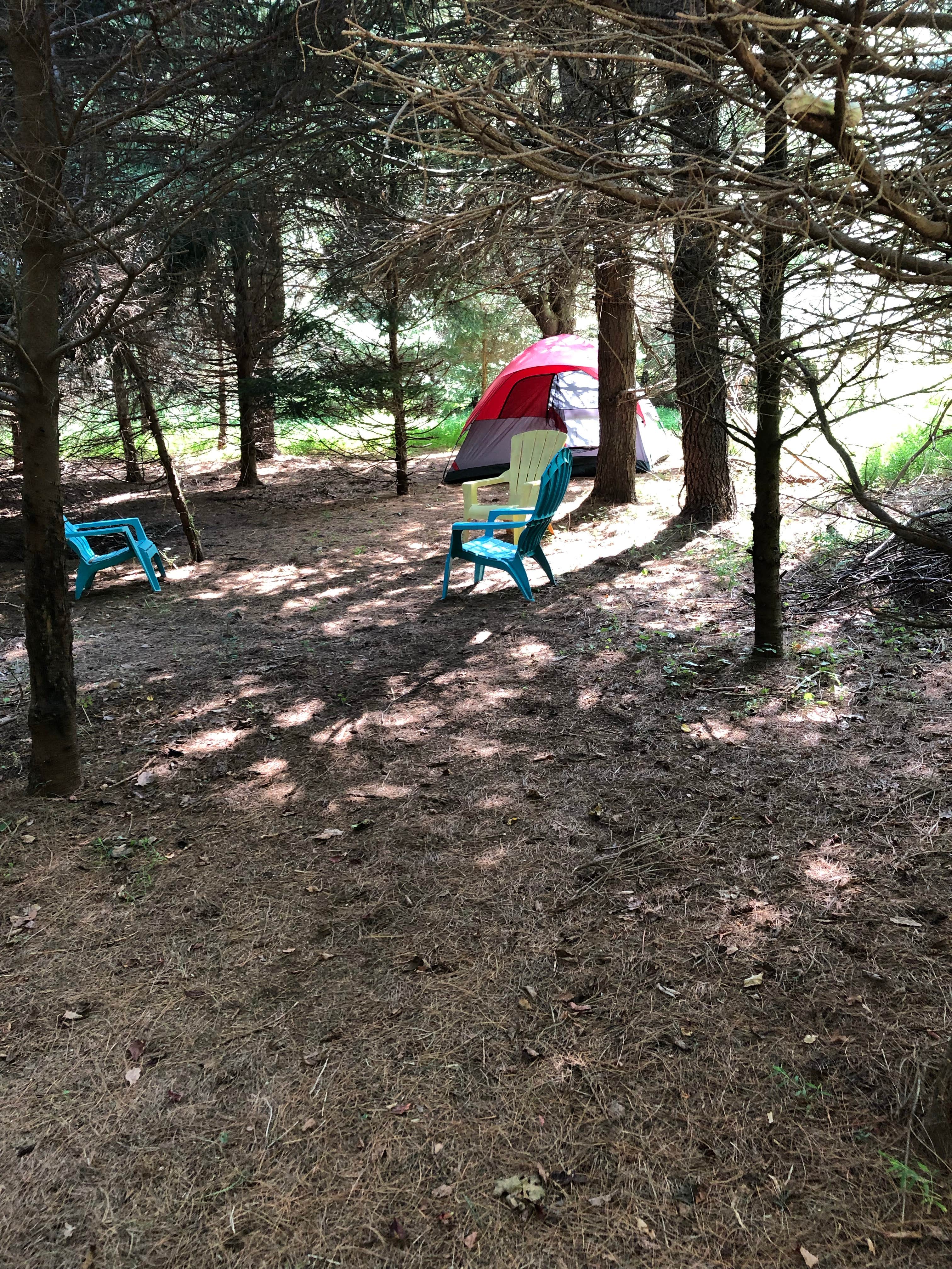 Camper-submitted photo at Pleasant Valley Lavender near Carteret, NJ