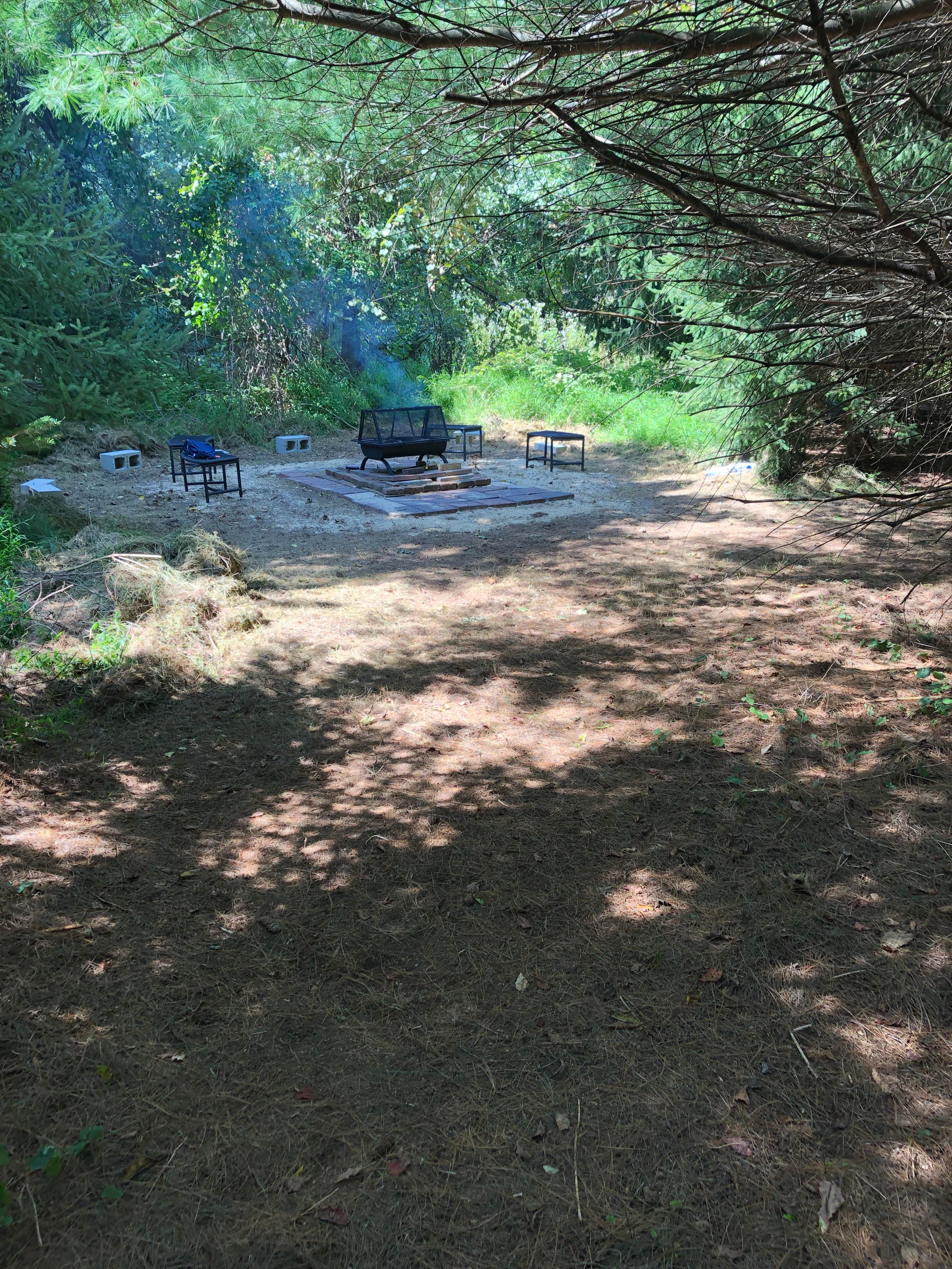 Camper-submitted photo at Pleasant Valley Lavender near Carteret, NJ