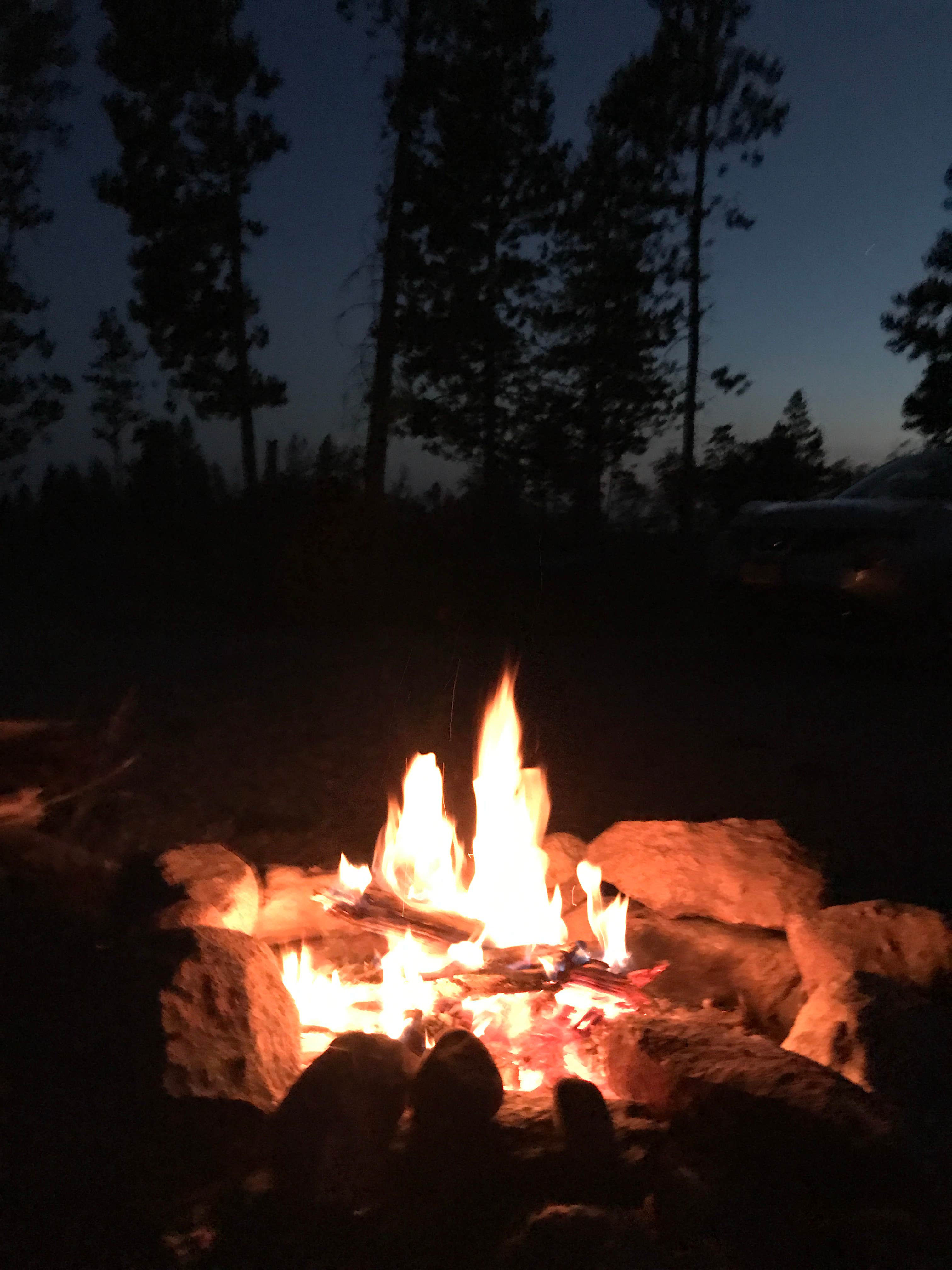 Carrie C.'s photo at Scab Creek Small Vehicle Campground near Boulder, WY
