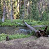 Review photo of Annie Creek Sno-Park by Katherine D., November 10, 2019