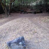 Review photo of Albee Creek Campground — Humboldt Redwoods State Park by Katherine D., November 10, 2019