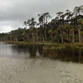 Review photo of Hunting Island State Park Campground by Thomas H., November 11, 2019