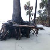 Review photo of Hunting Island State Park Campground by Thomas H., November 11, 2019
