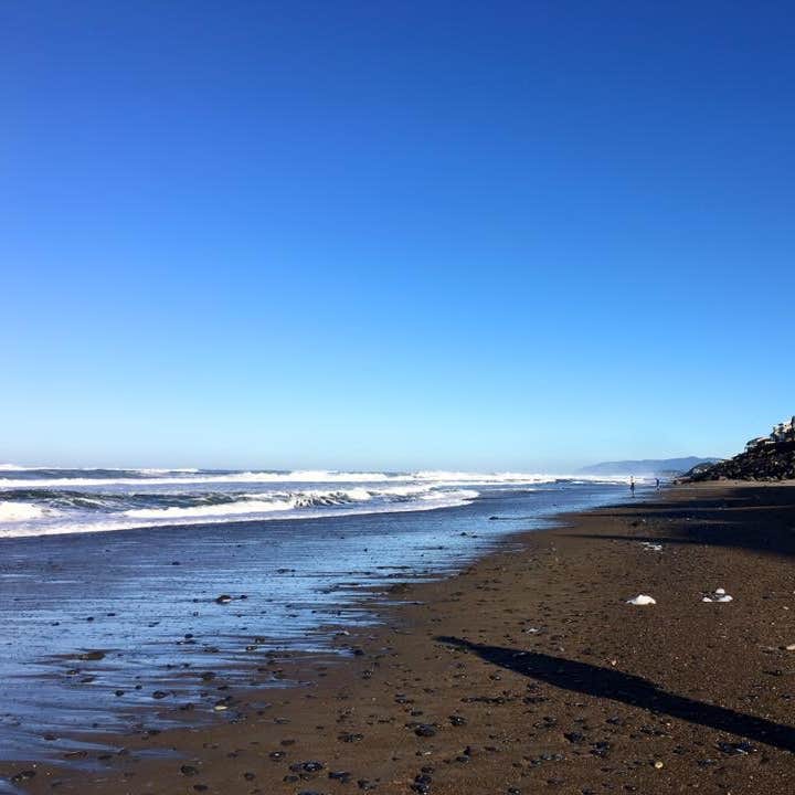 Sea and Sand RV Park Camping The Dyrt