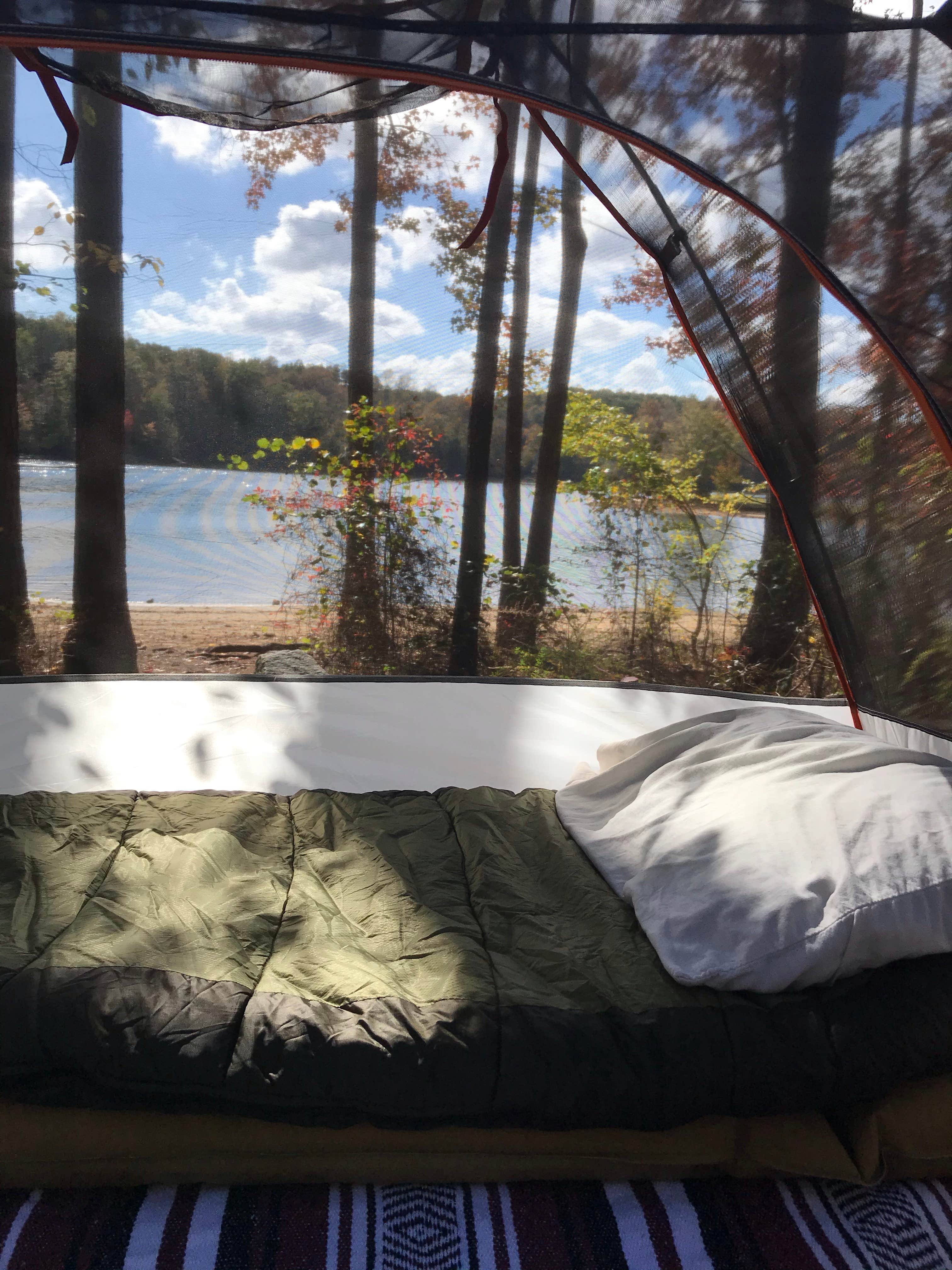 Sleeping with a view.