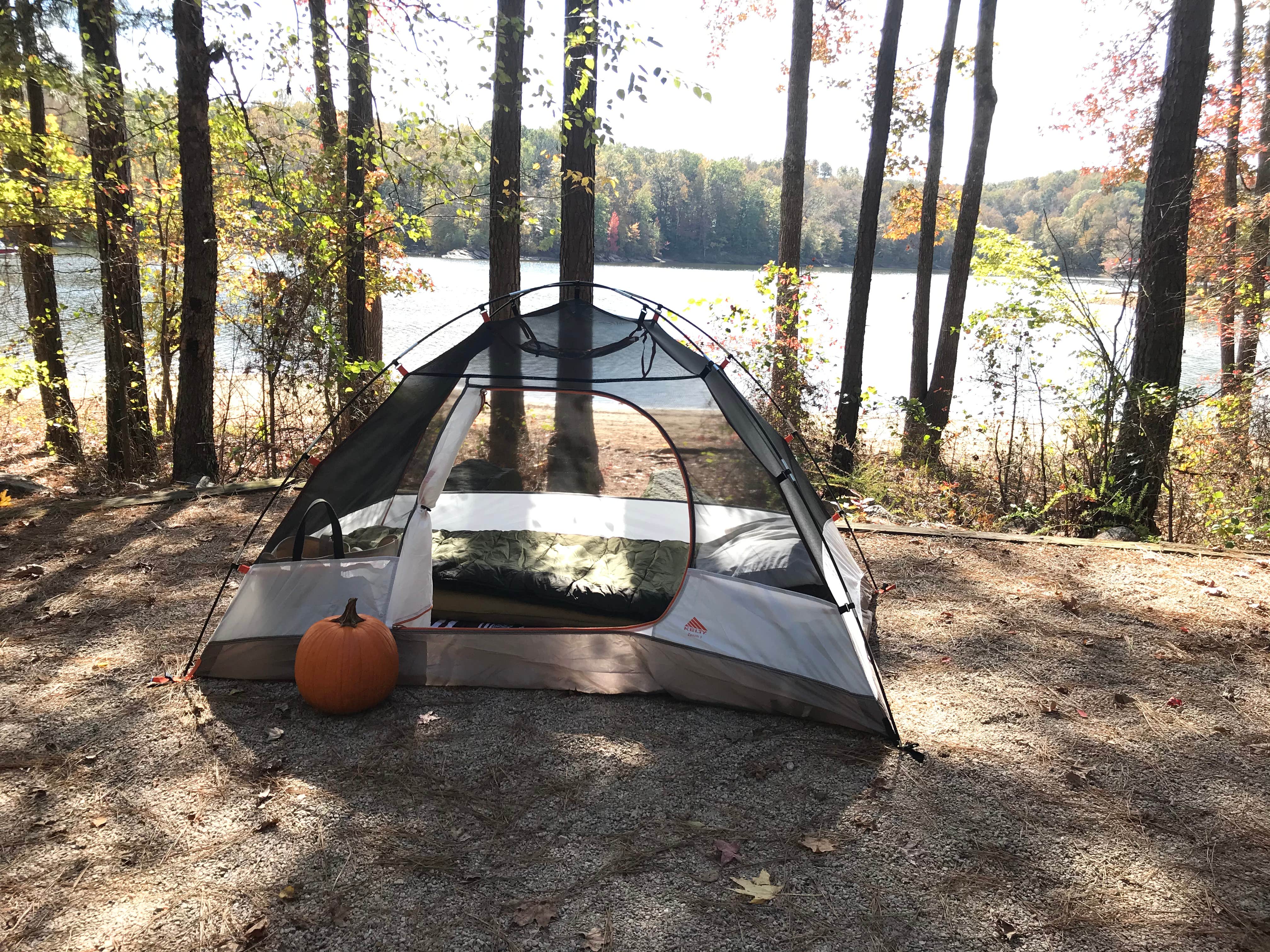 Jessica  H.'s photo at Holly Point — Falls Lake State Recreation Area near Creedmoor, NC