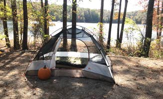 Jessica H.'s photo at Holly Point β Falls Lake State Recreation Area near Hillsborough, NC