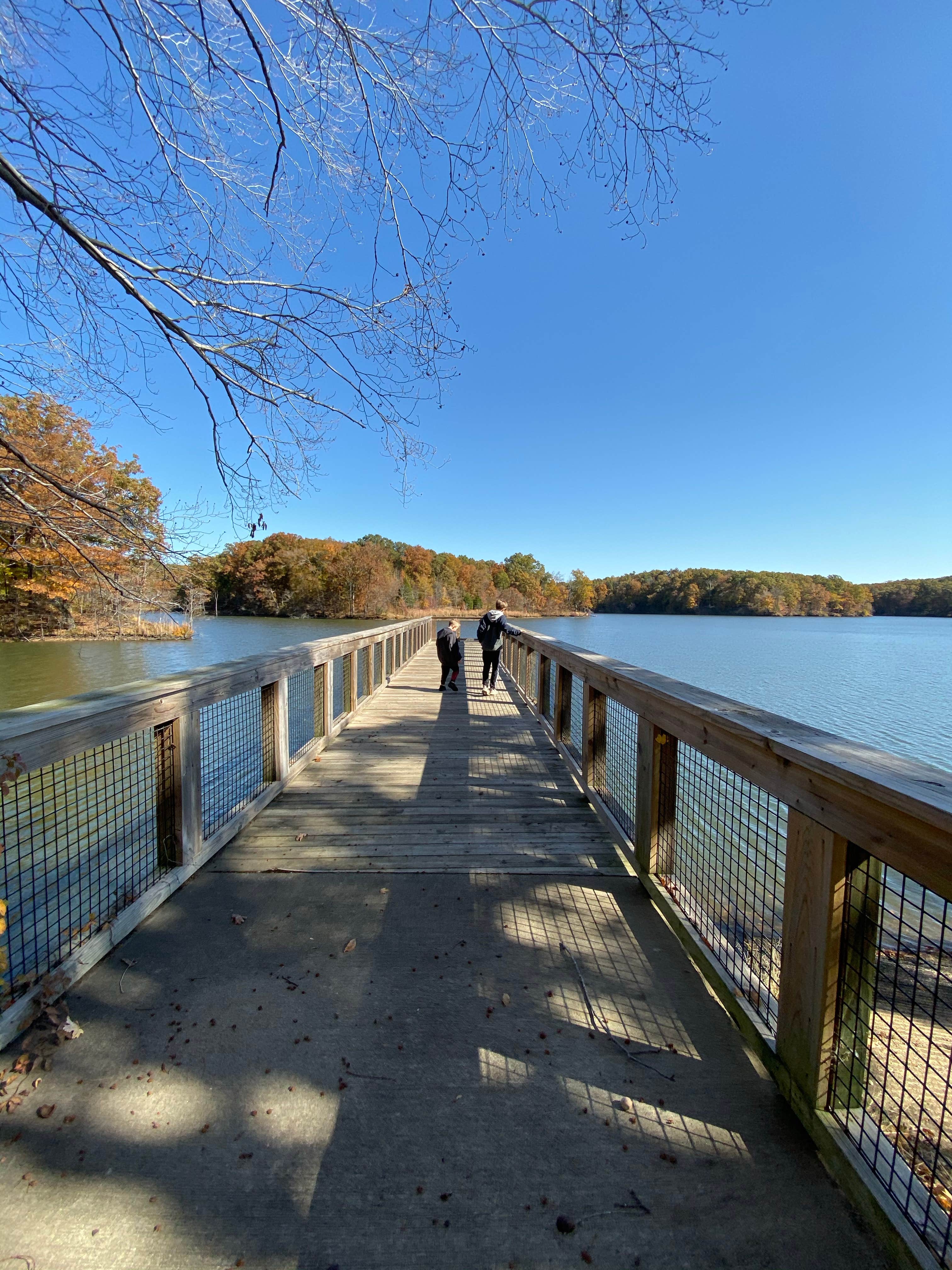 Camper-submitted photo at Village Creek State Park Campground in Arkansas