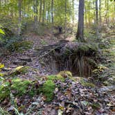 Review photo of Village Creek State Park Campground by Shana D., November 11, 2019