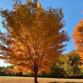 Review photo of Village Creek State Park Campground by Shana D., November 11, 2019