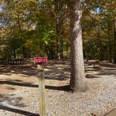 Review photo of Village Creek State Park Campground by Shana D., November 11, 2019