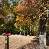 Review photo of Village Creek State Park Campground by Shana D., November 11, 2019