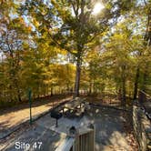 Review photo of Village Creek State Park Campground by Shana D., November 11, 2019