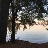 Review photo of Dreher Island State Park Campground by Shannon G., November 11, 2019