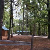 Review photo of Dreher Island State Park Campground by Shannon G., November 11, 2019