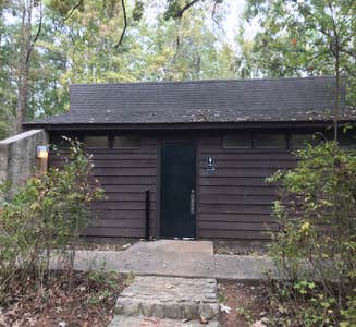 Camper-submitted photo from Longleaf Campground — Congaree National Park