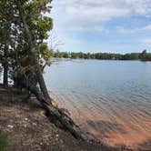 Review photo of Dreher Island State Park Campground by Shannon G., November 11, 2019