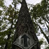 Review photo of Dreher Island State Park Campground by Shannon G., November 11, 2019