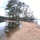 Review photo of Dreher Island State Park Campground by Shannon G., November 11, 2019