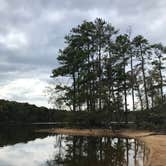 Review photo of Dreher Island State Park Campground by Shannon G., November 11, 2019