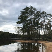 Review photo of Dreher Island State Park Campground by Shannon G., November 11, 2019