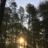 Review photo of Dreher Island State Park Campground by Shannon G., November 11, 2019