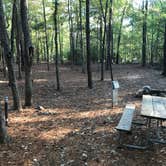 Review photo of Dreher Island State Park Campground by Shannon G., November 11, 2019