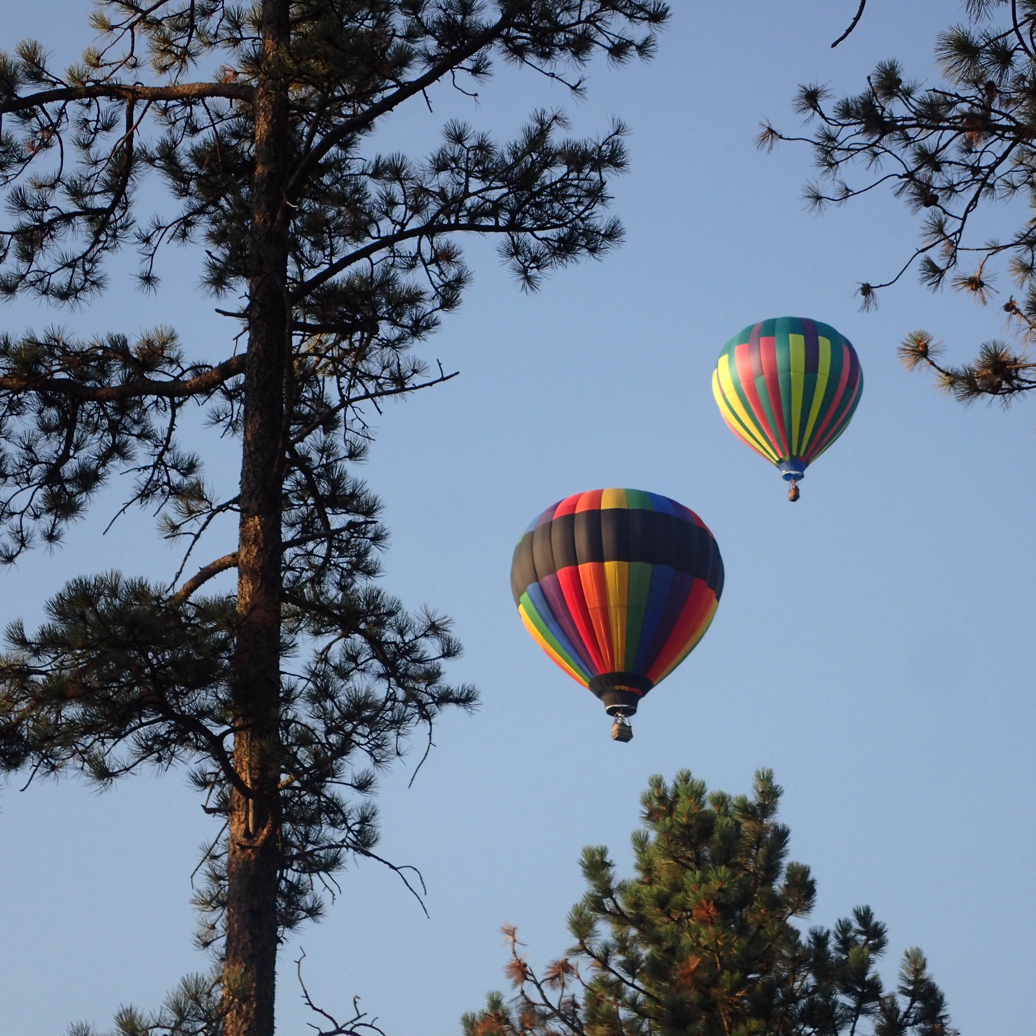 Beaver Lake Campground Camping The Dyrt