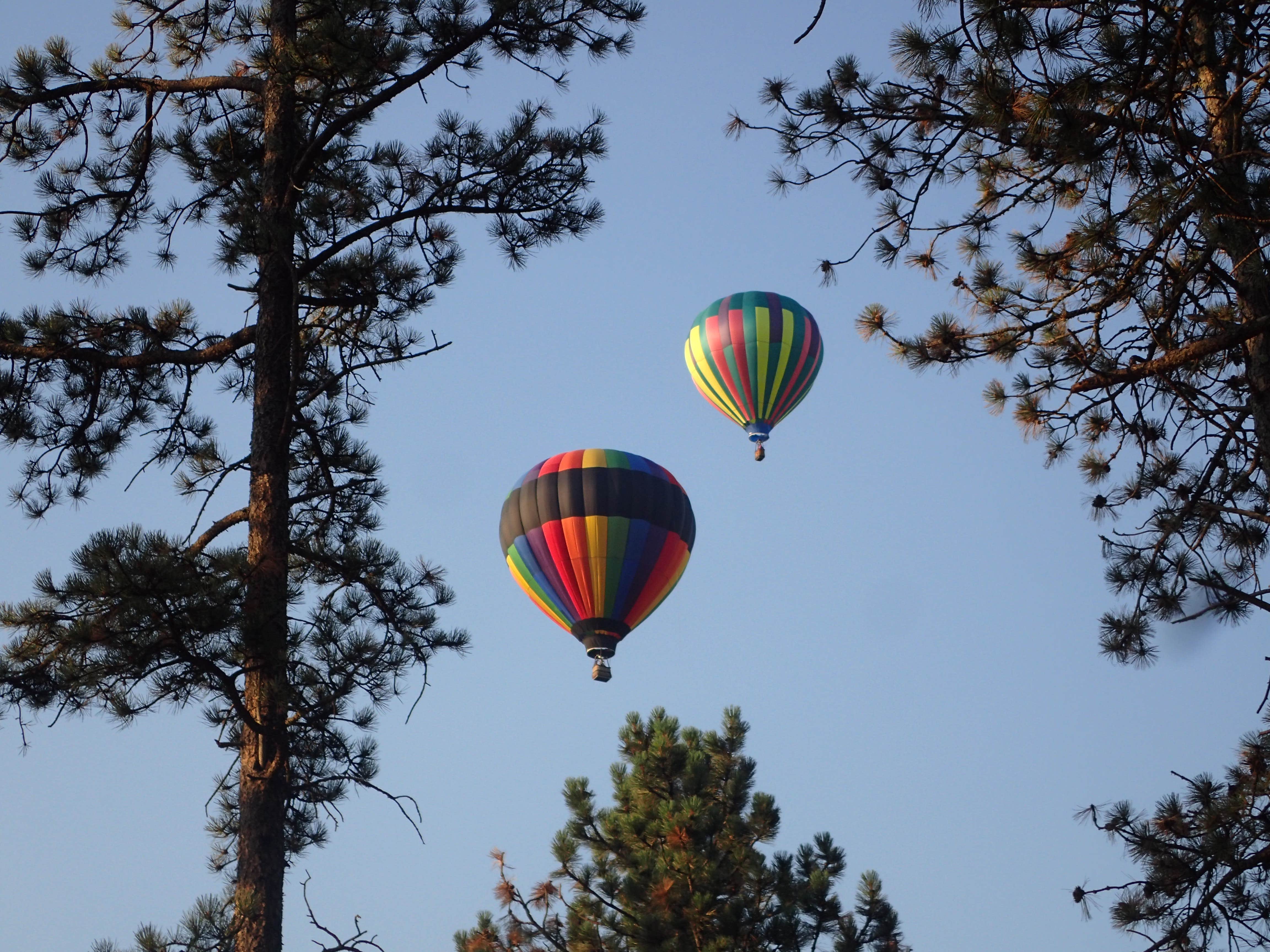 Camper submitted image from Beaver Lake Campground - 3