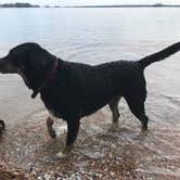 Review photo of Dreher Island State Park Campground by Shannon G., November 11, 2019