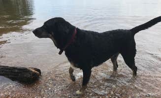 Shannon G.'s photo of camping with pets at Dreher Island State Park Campground near Williston, SC