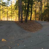 Review photo of Dreher Island State Park Campground by Shannon G., November 11, 2019