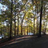 Review photo of Dreher Island State Park Campground by Shannon G., November 11, 2019