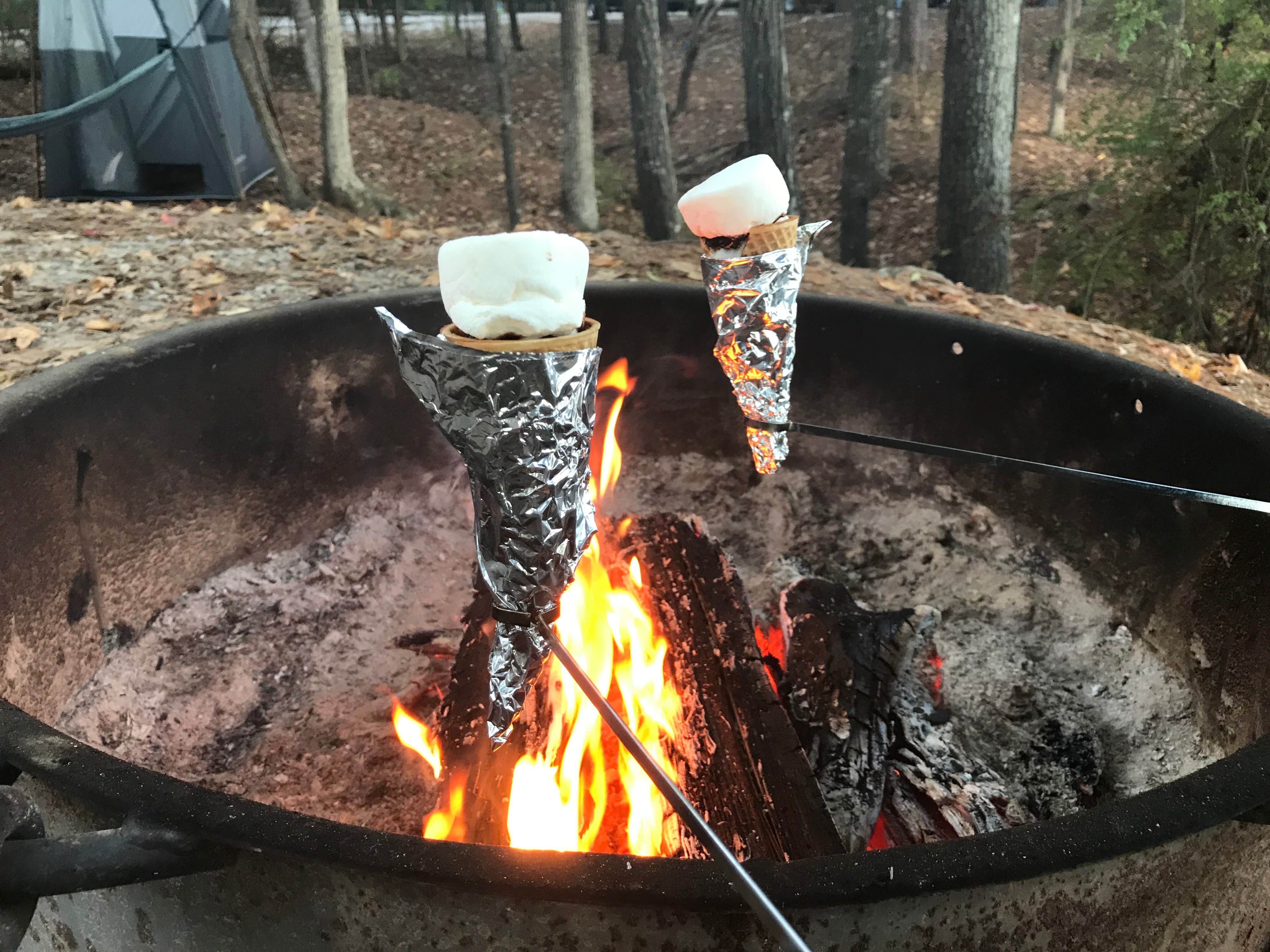 Shannon G.'s photo at Dreher Island State Park Campground near Blythewood, SC