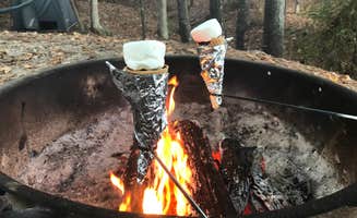 Shannon G.'s photo at Dreher Island State Park Campground near Blythewood, SC