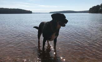 Shannon G.'s photo of camping with pets at Dreher Island State Park Campground near Williston, SC
