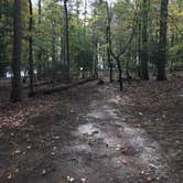 Review photo of Dreher Island State Park Campground by Shannon G., November 11, 2019