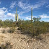 Review photo of Twin Peaks Campground — Organ Pipe Cactus National Monument by Kate G., November 11, 2019