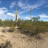 Review photo of Twin Peaks Campground - Organ Pipe Cactus Nat Monument by Kate G., November 11, 2019