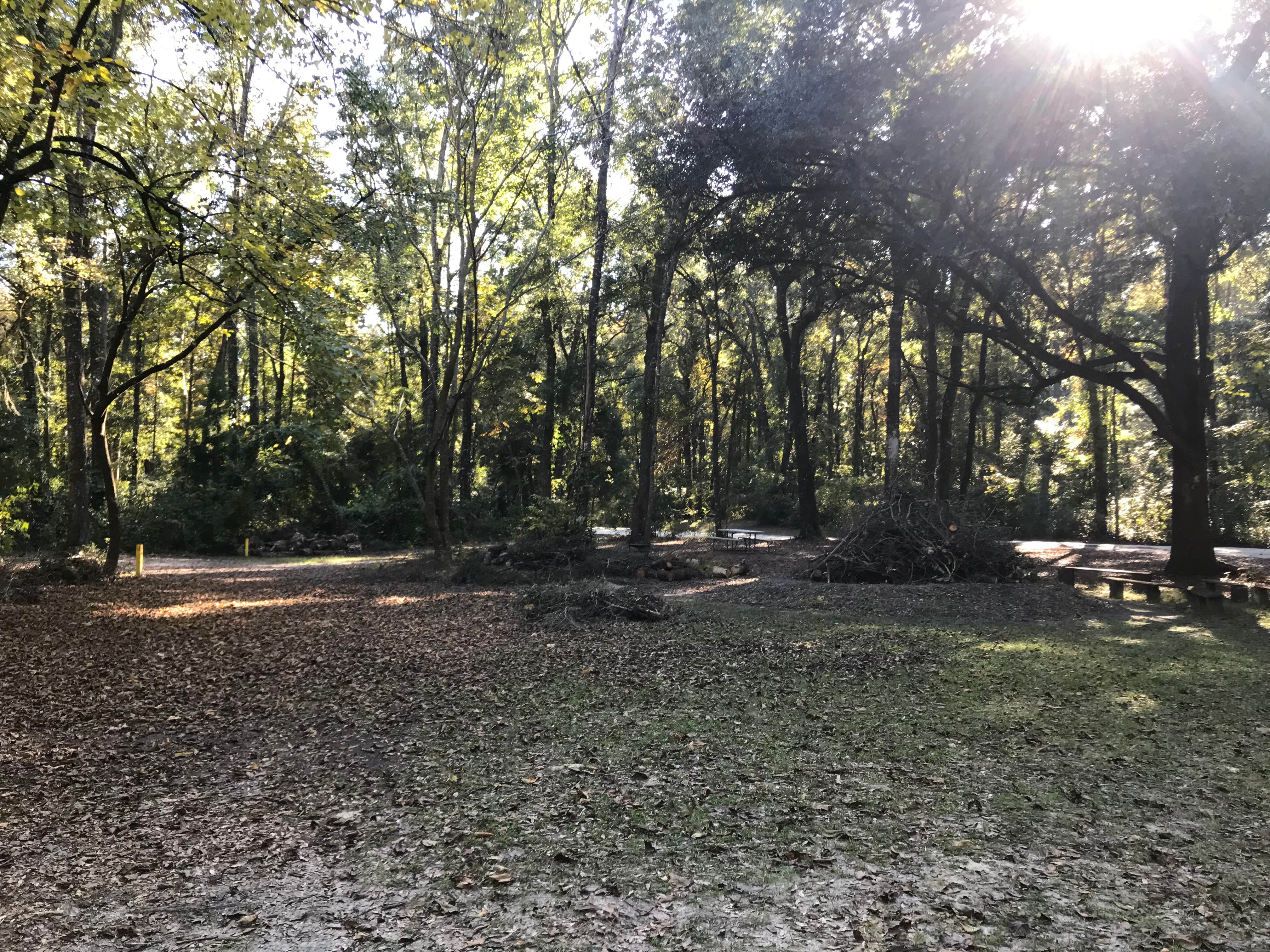 Camper-submitted photo at Ichetucknee Springs Campground near Chiefland, FL