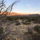 Review photo of Blair Valley Primitive Campground — Anza-Borrego Desert State Park by Emily  P., November 12, 2019