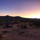 Review photo of Blair Valley Primitive Campground — Anza-Borrego Desert State Park by Emily  P., November 12, 2019