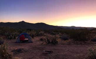 Emily P.'s photo of a dispersed camping area at Blair Valley Primitive Campground — Anza-Borrego Desert State Park near Cleveland National Forest