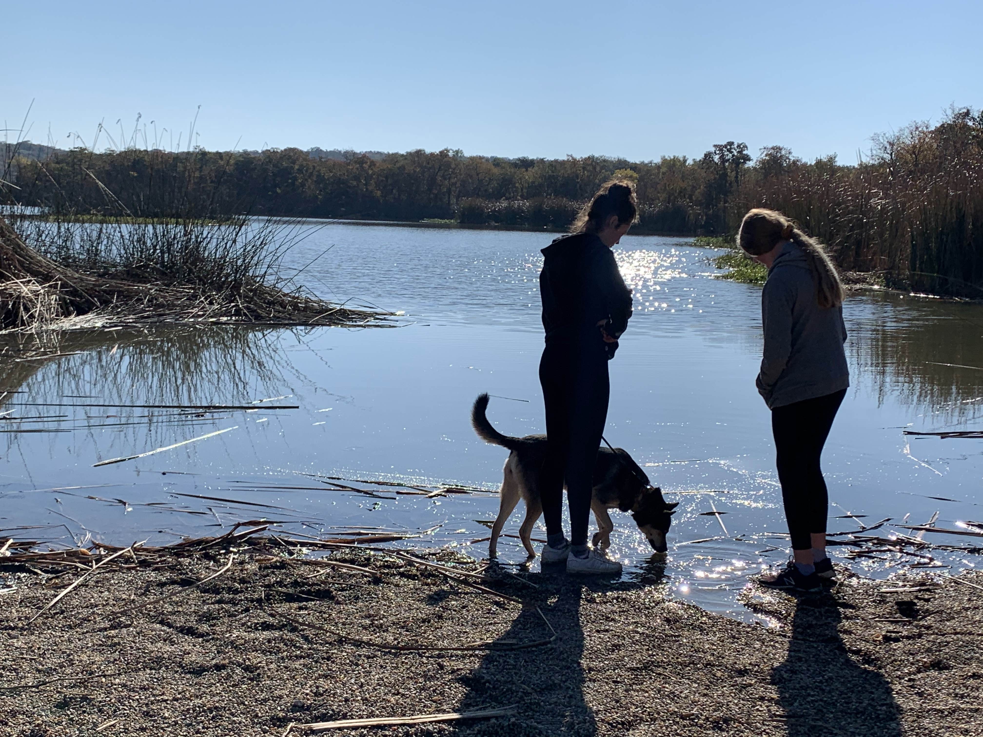 Camper-submitted photo at Cross Timbers — Lake Mineral Wells State Park near Granbury, TX