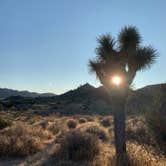 Review photo of Black Rock Campground — Joshua Tree National Park by Dad & B R., November 12, 2019