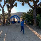 Review photo of Black Rock Campground — Joshua Tree National Park by Dad & B R., November 12, 2019