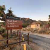 Review photo of Black Rock Campground — Joshua Tree National Park by Dad & B R., November 12, 2019