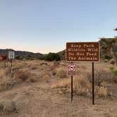 Review photo of Black Rock Campground — Joshua Tree National Park by Dad & B R., November 12, 2019