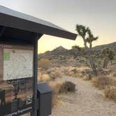 Review photo of Black Rock Campground — Joshua Tree National Park by Dad & B R., November 12, 2019