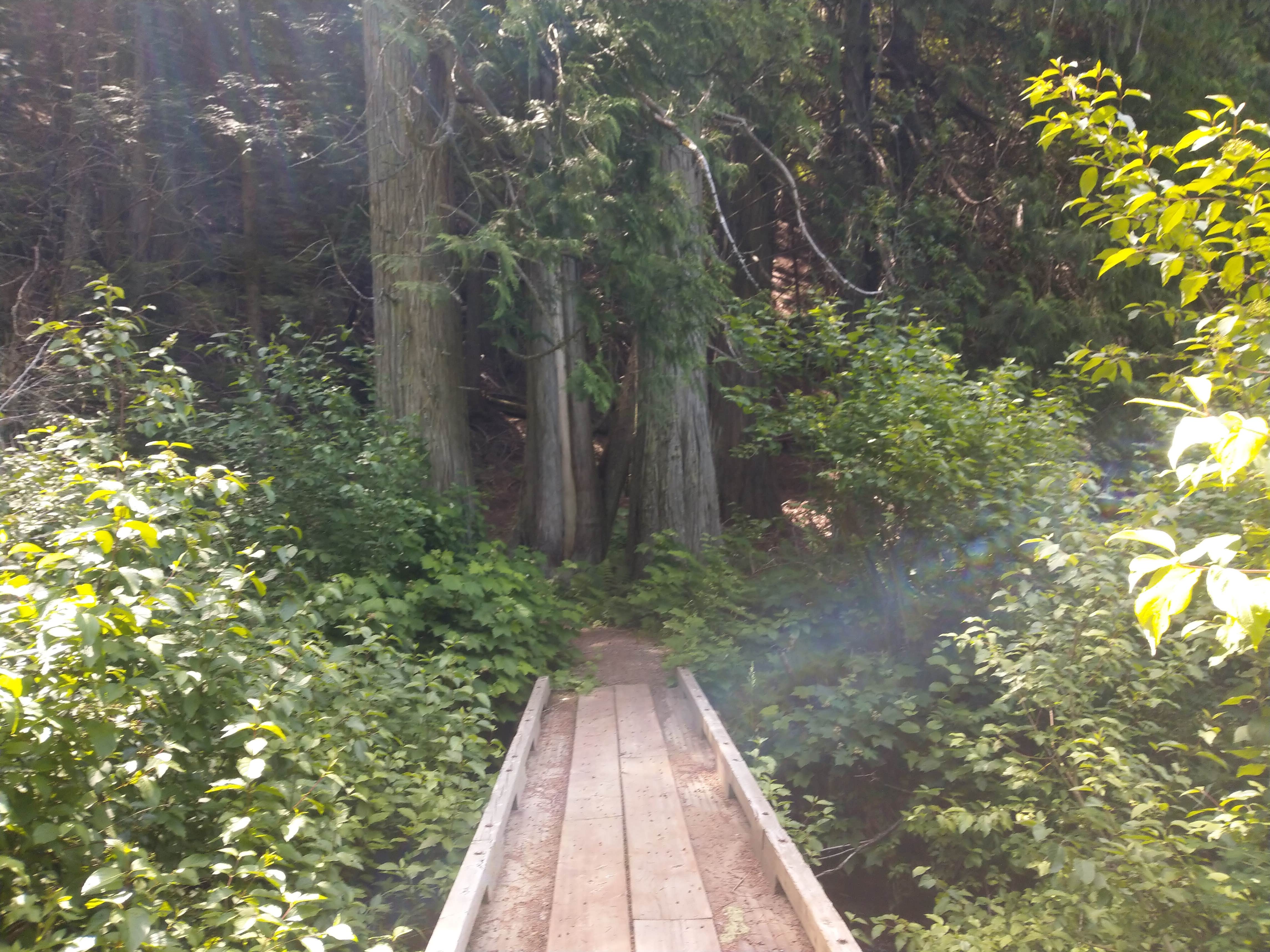 Browns Lake Campground | Cusick, WA